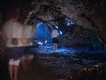 Looking for Petrel nests