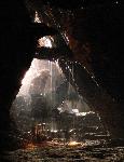 Ashy Storm-Petrel nests are hard to find