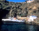 Landing Cove