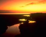 Coastal Marsh