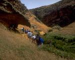 Lobo Canyon