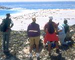 Visitors at Point Bennet