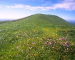 Signal Peak
