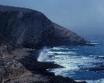 Sea Lion Rookery
