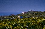 Anacapa Island campground