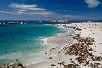 San Miguel Island, Point Bennett