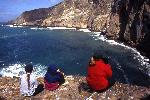 Santa Barbara Island visitors at Elephant Seal Co.