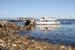 Santa Cruz Island Scorpion Anchorage with boat
