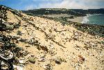 San Miguel Island midden site