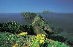 Anacapa Island Inspiration Point