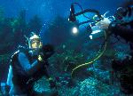Channel Islands Live