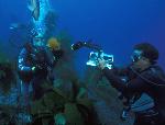 Channel Islands Live