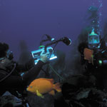 divers in kelp forest on anacapa island