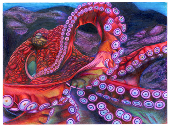 "Giant Pacific Octopus," Erick Villegas