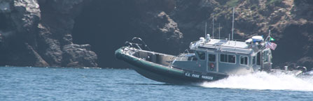 NPS