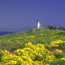 lighthouse, anacapa island                                            timhaufphotography.com
