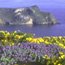 cuyler harbor, san miguel island                                            brad sillason