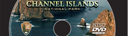 NPS