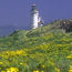 lighthouse, anacapa island                                        timhaufphotography.com