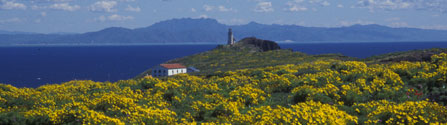 Anacapa Island