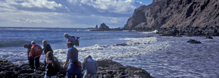 National Park Service