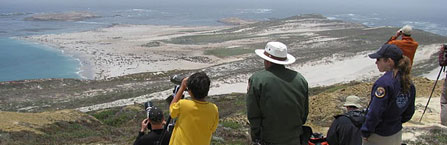 NPS