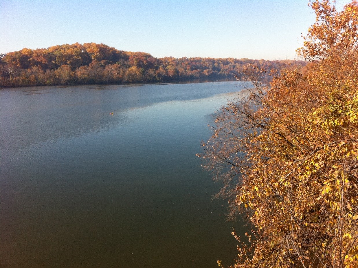 View of the Potomac River