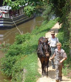 Photo of Georgetown canal boat being pulled by a team of mules.