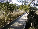 Boardwalk