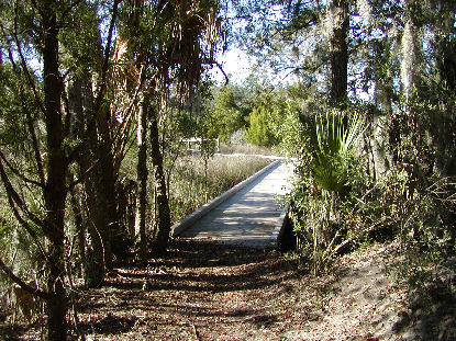 Boardwalk on the trail at Charles Pinckney NHS.