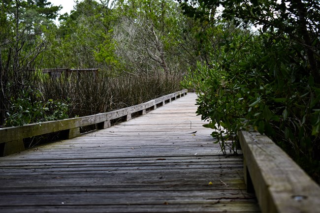 A wooden grey boardwalk