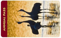 America The Beautiful pass with an image of wading birds at sunset.
