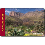 America The Beautiful pass