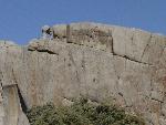 Window Rock