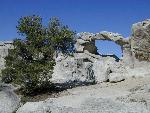 Window Arch