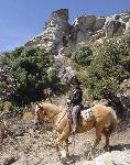 Fall Trail Ride