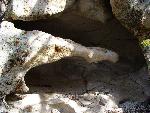 Delicate Granite Finger