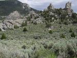 Devil's Bedstead