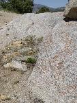 Pinnacle Pass ruts