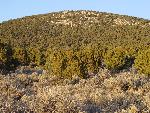 Quartzite Bluffs of 7038 Mtn.