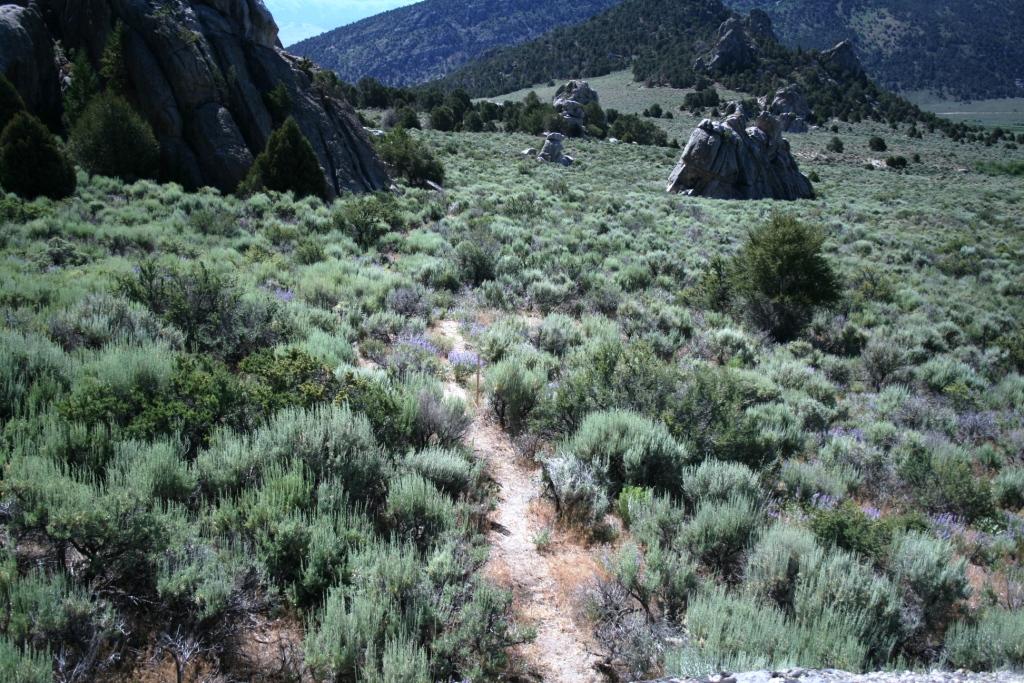 Geological Interpretive Trail
