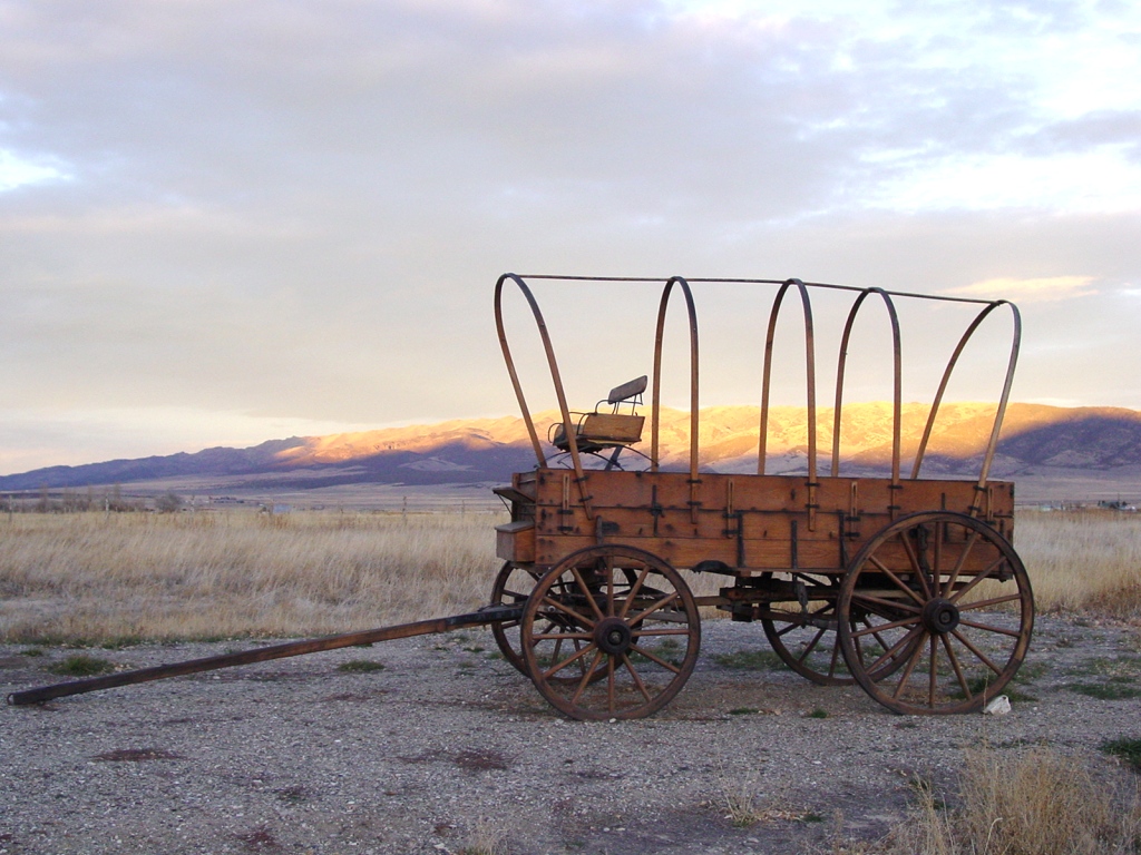 Wagon
