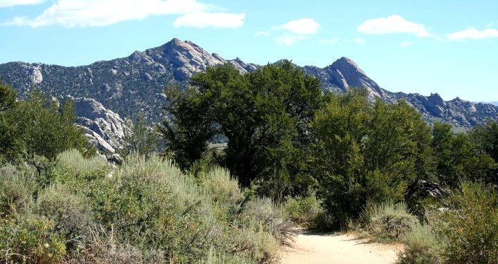 Creekside Towers Trail