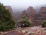 Foggy Monument Canyon