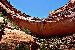 Below the rim