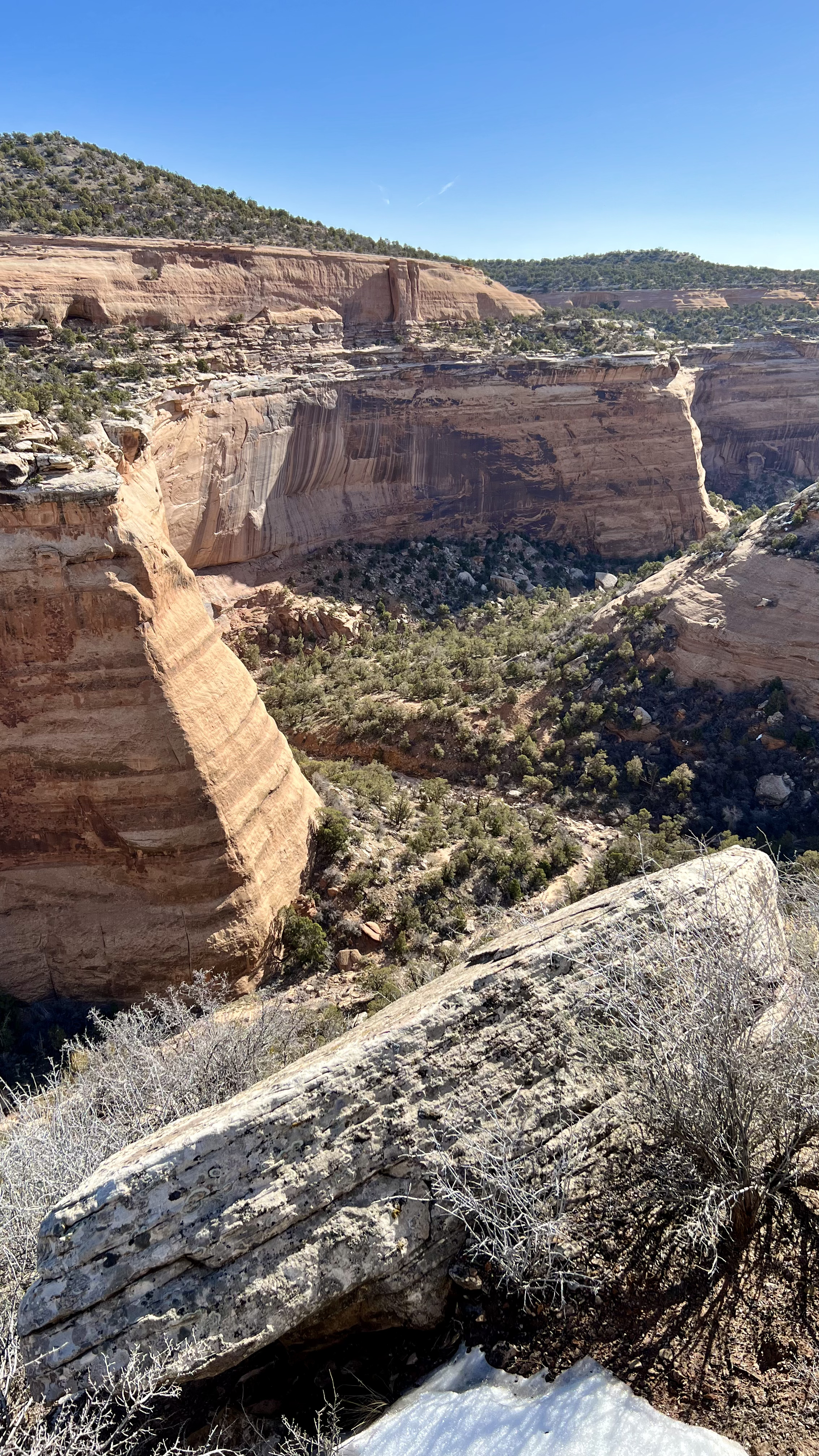 curved, orange canyon walls with green shrubs above and below