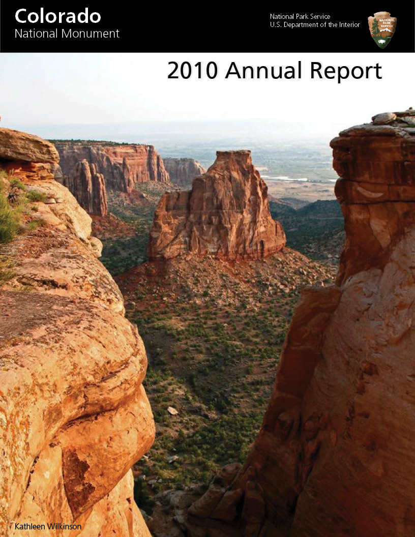 2010 Annual Report
