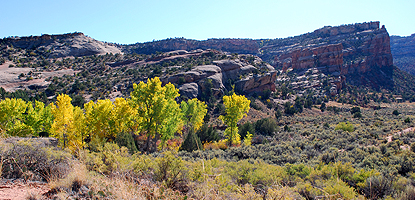 No Thoroughfare Canyon in the Fall