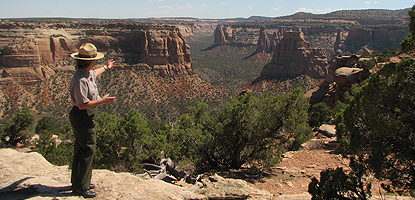 Canyon Rim Trail
