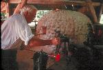 Historic Jamestowne glass blower
